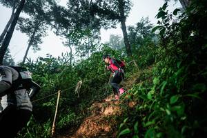 BIB: 
                            <button type="button" onclick="openModal(26202581)" class="btn btn-primary btn-sm float-right btn-popup" data-toggle="modal" data-target=".modal-high-quality">
                        <i class="fas fa-shopping-cart"></i> Add to Cart
                    </button>
                                            <button type="button" onclick="isThisMe(26202581, true)" class="btn btn-success btn-sm float-right btn-popup btn-isme hidden" data-toggle="tooltip" data-placement="bottom" title="นี่คือรูปของคุณใช่ไหม คลิกที่นี่เพื่อเอาเข้าอัลบั้ม">
                        <i class="fas fa-plus"></i> Add to album
                    </button>
                    <button type="button" onclick="isThisMe(26202581, false)" class="btn btn-warning btn-sm float-right btn-popup btn-isnotme hidden">
                        <i class="fas fa-ban"></i> Remove from album
                    </button>